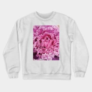 Wild Cabbage - Brassica Oleracea Crewneck Sweatshirt